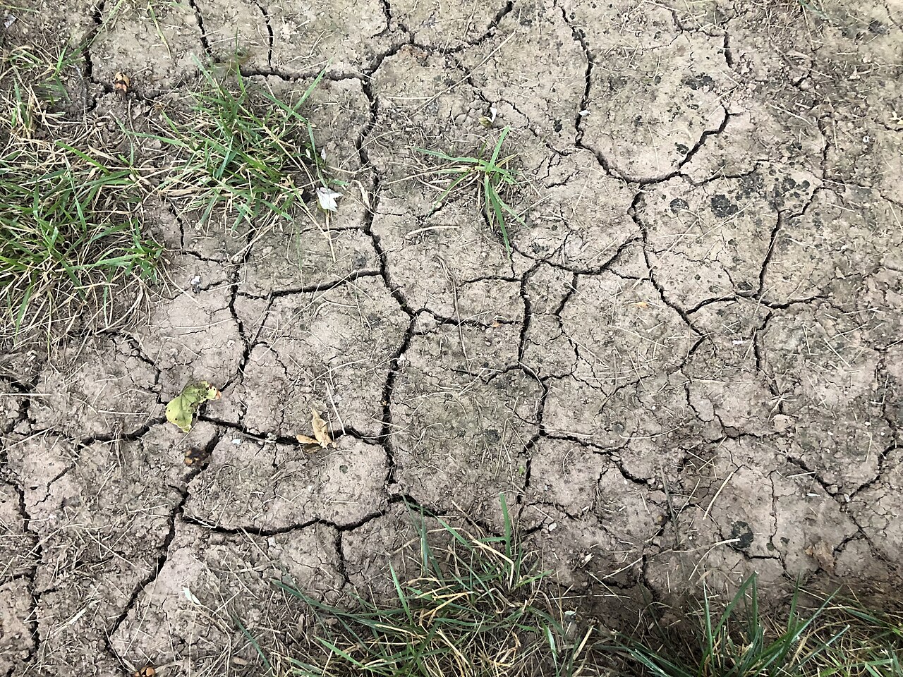 Illustration: cracked, dry soil (not a photo from NTB). Photo: Famartin/Wikimedia Commons (CC BY-SA 4.0)